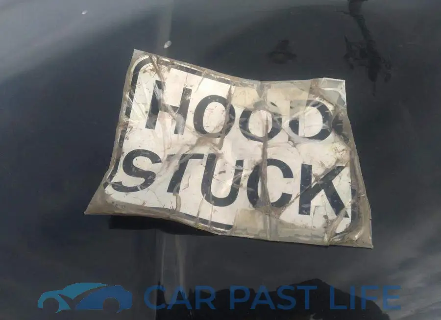2LMHJ5NK1FBL02640# 10