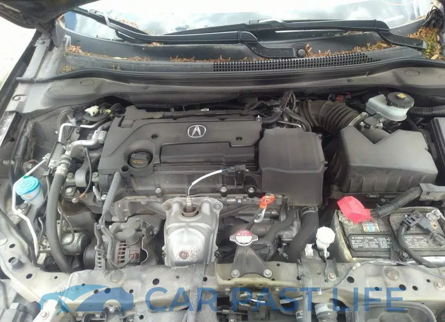 19UDE2F70KA801397# 10