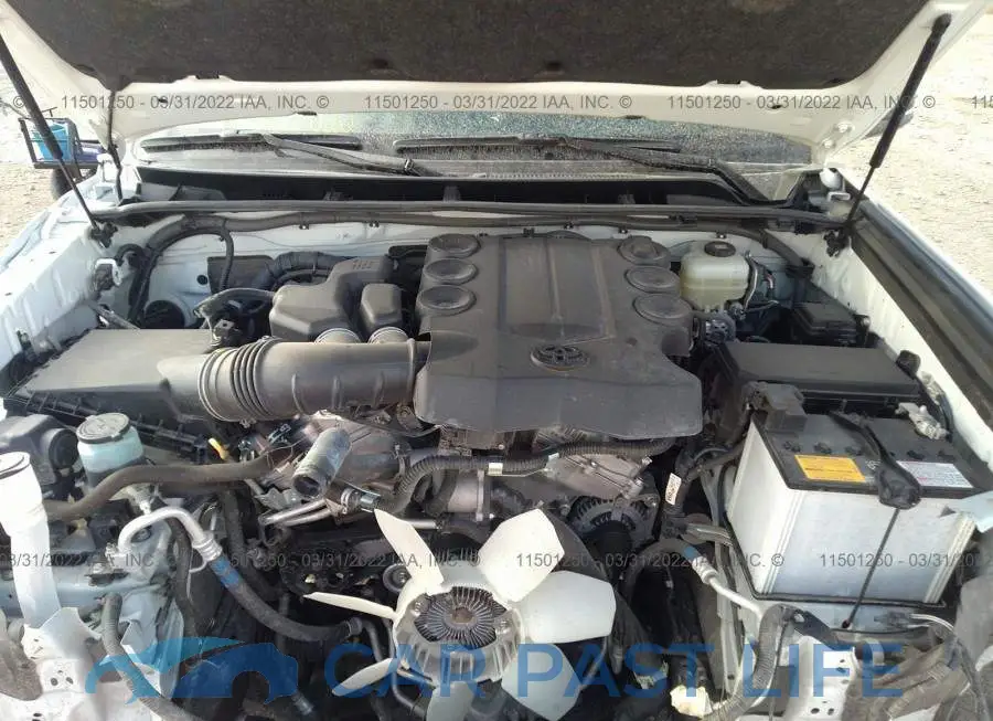 JTEBU5JR5L5798229# 10