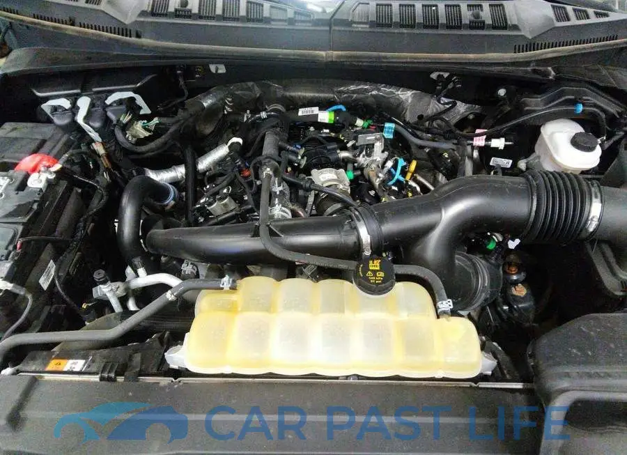 1FTEW1EP3KFB85841# 10