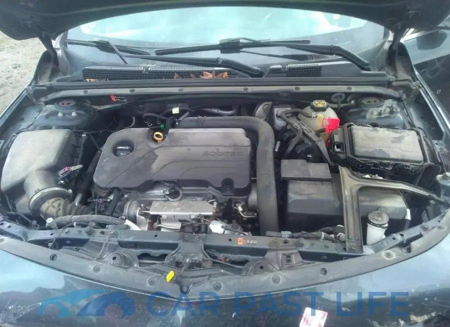 1G1ZD5ST7KF119575# 10