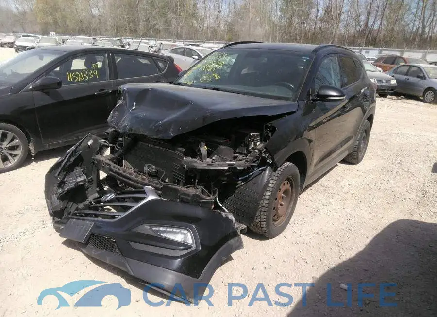 KM8J3CA44HU260979# 2