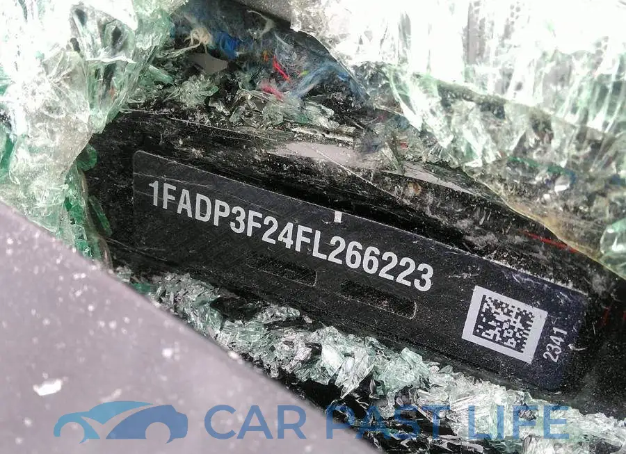 1FADP3F24FL266223# 9