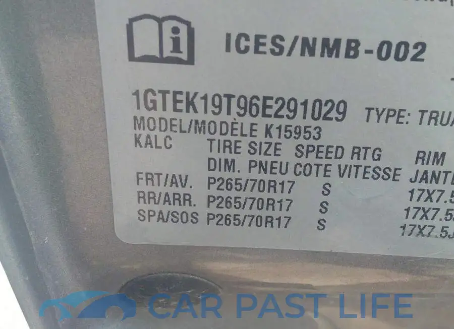 1GTEK19T96E291029# 9