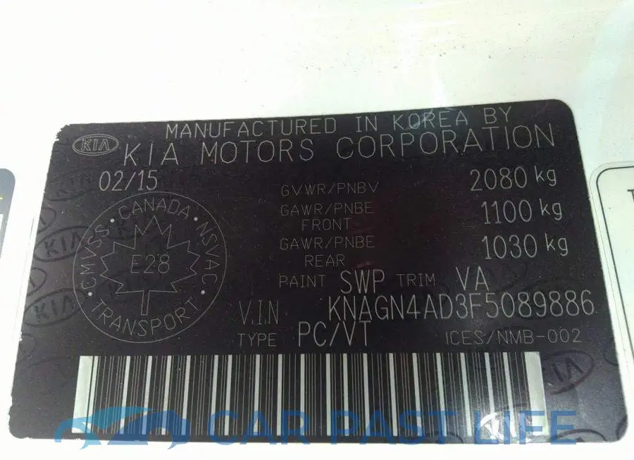 KNAGN4AD3F5089886# 9