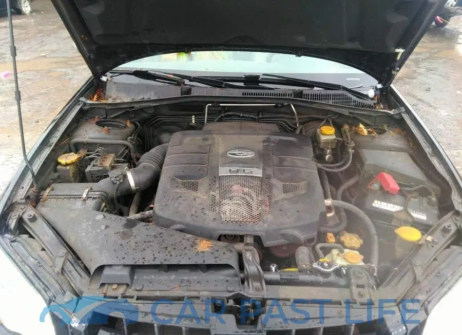 4S4BP86CX84334010# 10