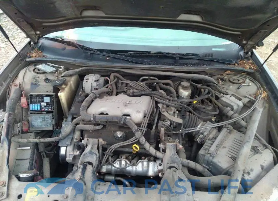 2G1WF52E939437903# 10