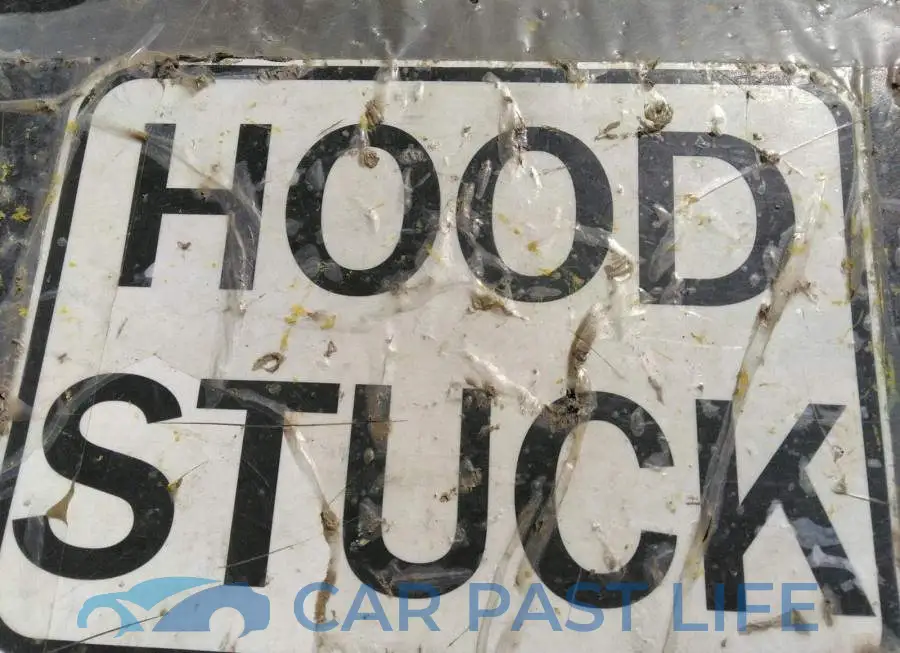 3C4PDDGGXHT638932# 10