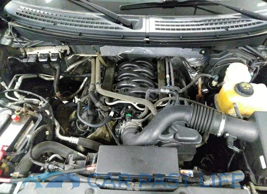 1FTFX1EF9EFB04984# 10