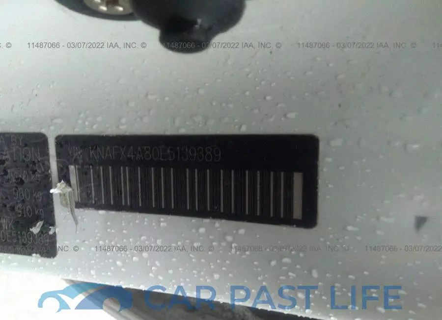 KNAFX4A80E5139389# 9