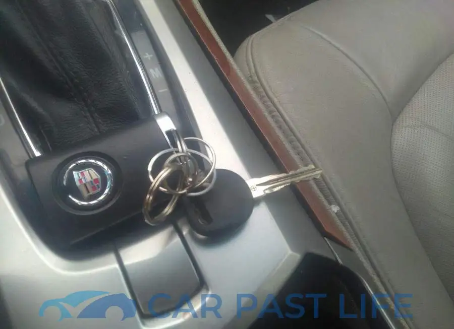 1G6DE5EG0A0119838# 11