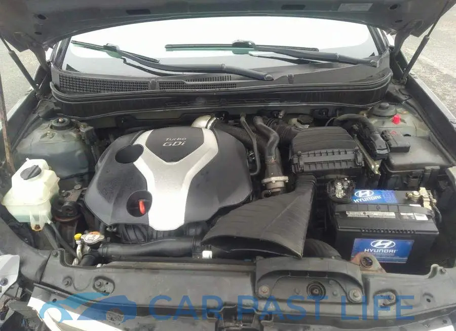5NPEC4AB7DH564466# 10