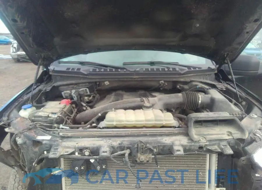 1FTFW1E46LKD99063# 10
