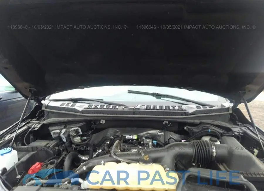 1FTEW1EP0LFB91064# 10