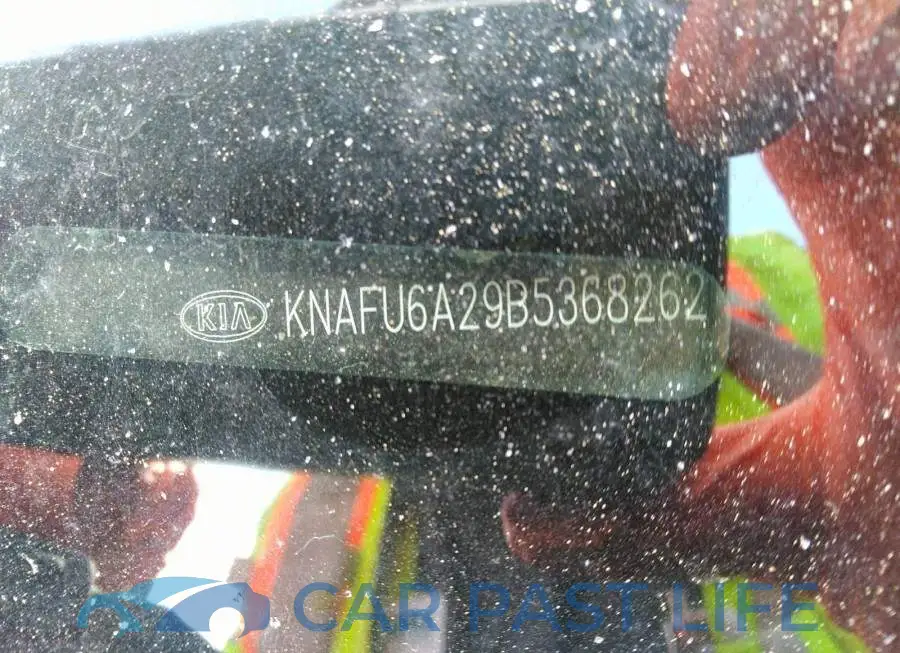 KNAFU6A29B5368262# 9