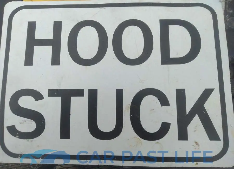 3N1CK3CP4GL266798# 10