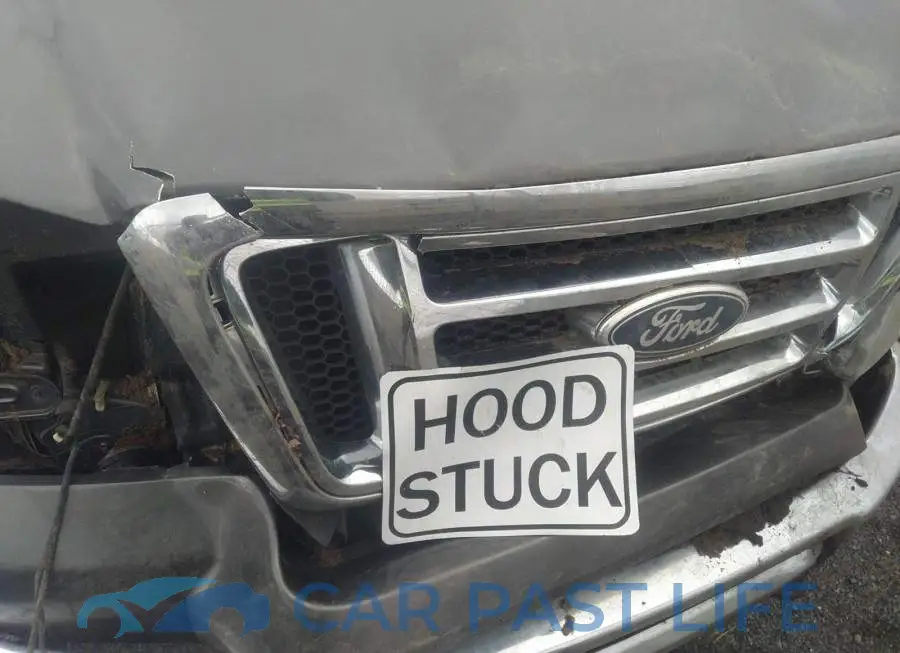 1FTPW14V87FA86626# 10