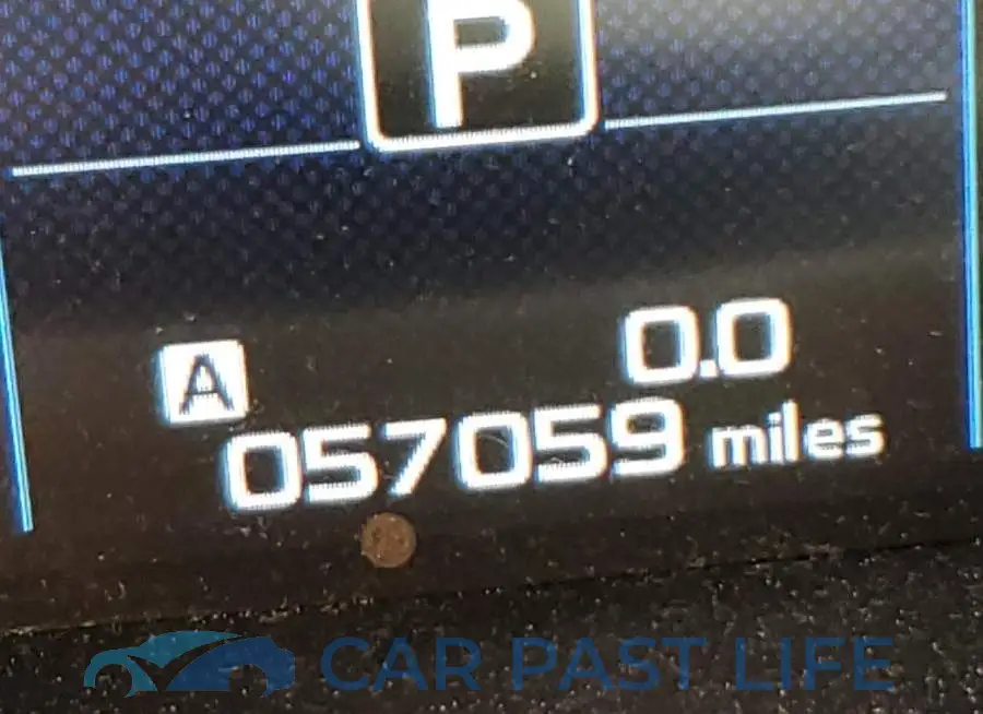 4S3BNAF62G3037667# 8