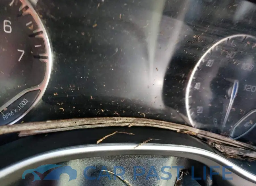 2C4RC1FG7LR238110# 8