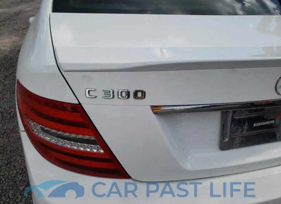 WDDGF8AB4DR244219# 9