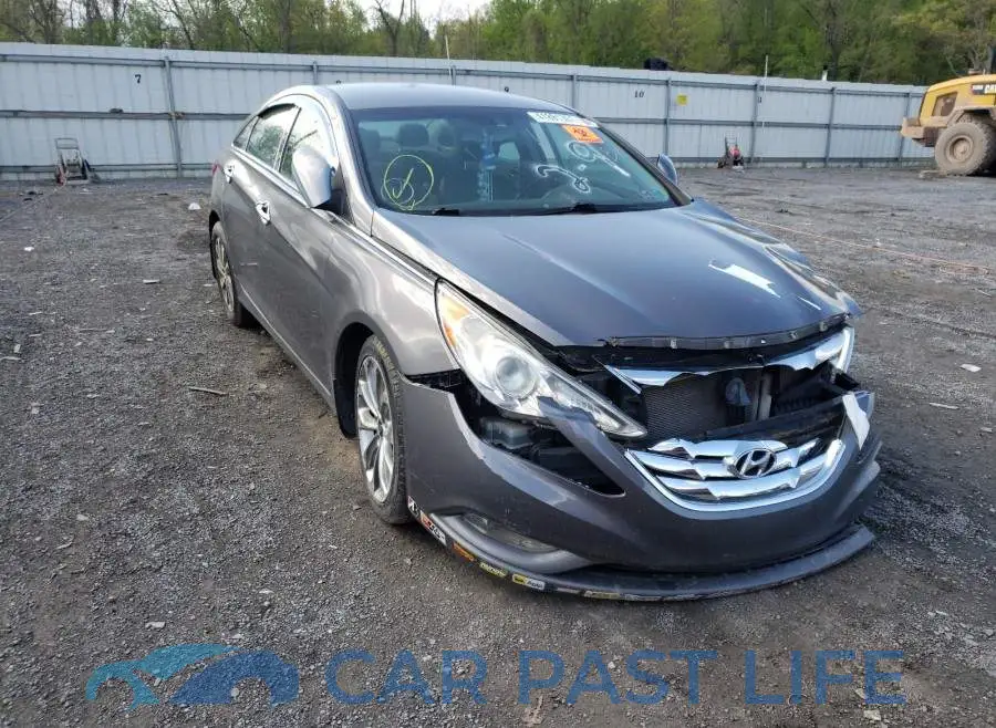 5NPEC4AB2DH795968# 1