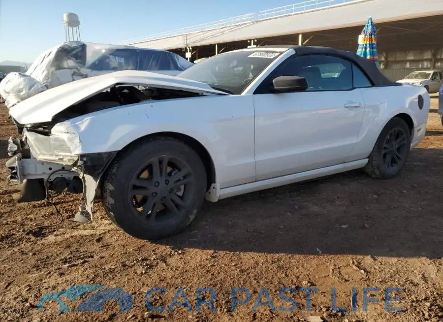 1ZVBP8EMXE5328421# 1