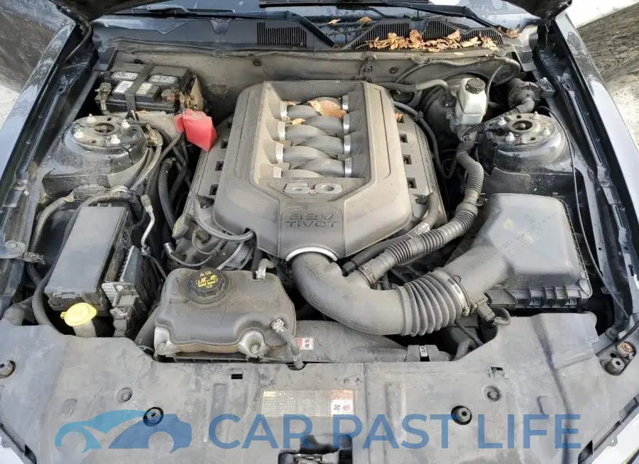 1ZVBP8CF2E5318065# 11