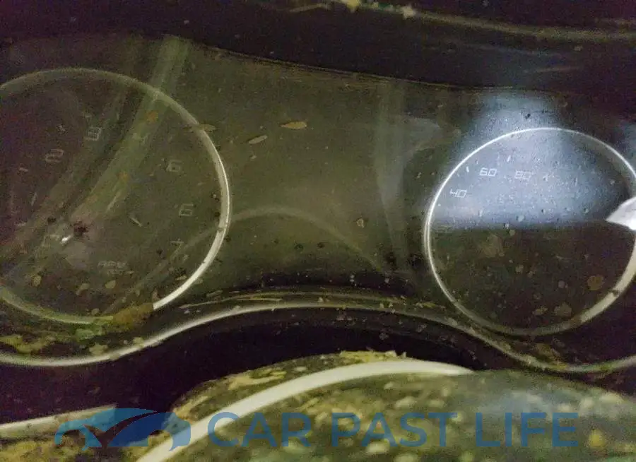 2C3CDXBG8MH597778# 9