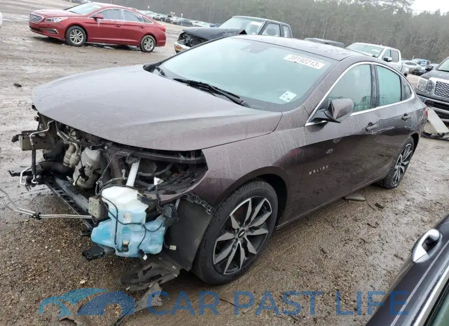 1G1ZF5SX5GF181352# 1