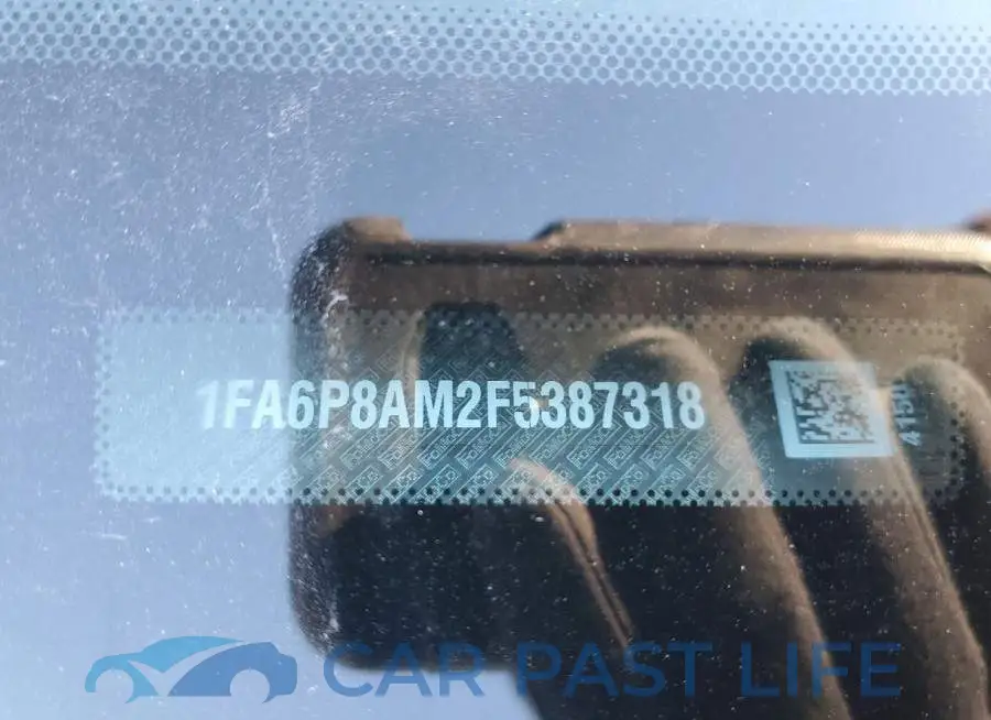 1FA6P8AM2F5387318# 12