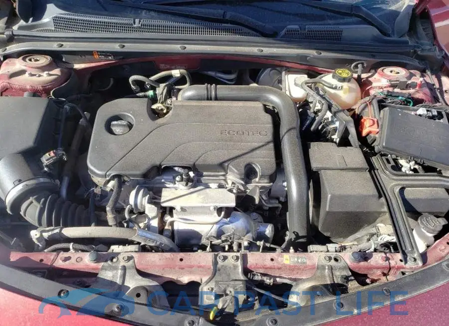 1G1ZD5ST6KF135282# 11