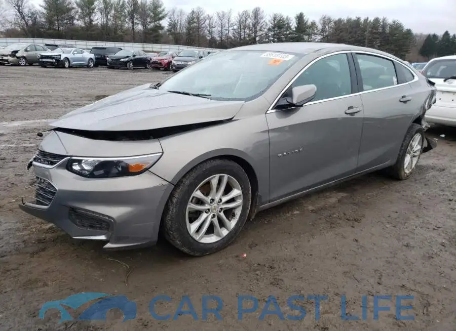 1G1ZD5ST5JF162889# 1