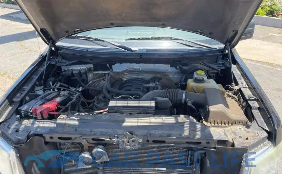 1FTFX1EF9EKD12516# 7