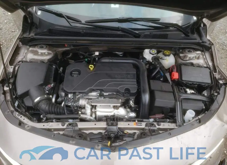 1G1ZD5ST1PF184784# 11