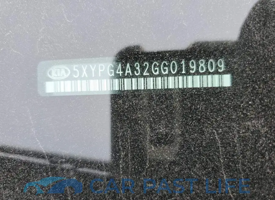 5XYPG4A32GG019809# 13