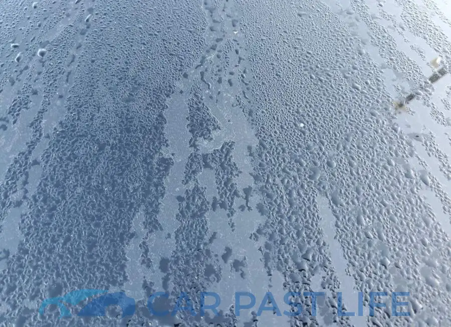 7SAYGDEF1NF509920# 8