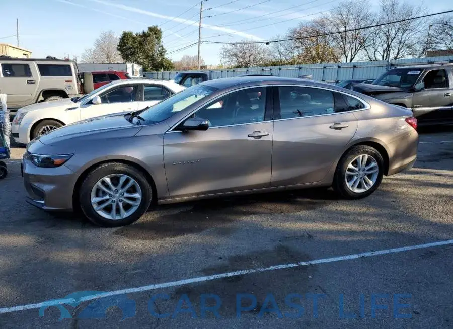 1G1ZD5ST5JF126569# 1