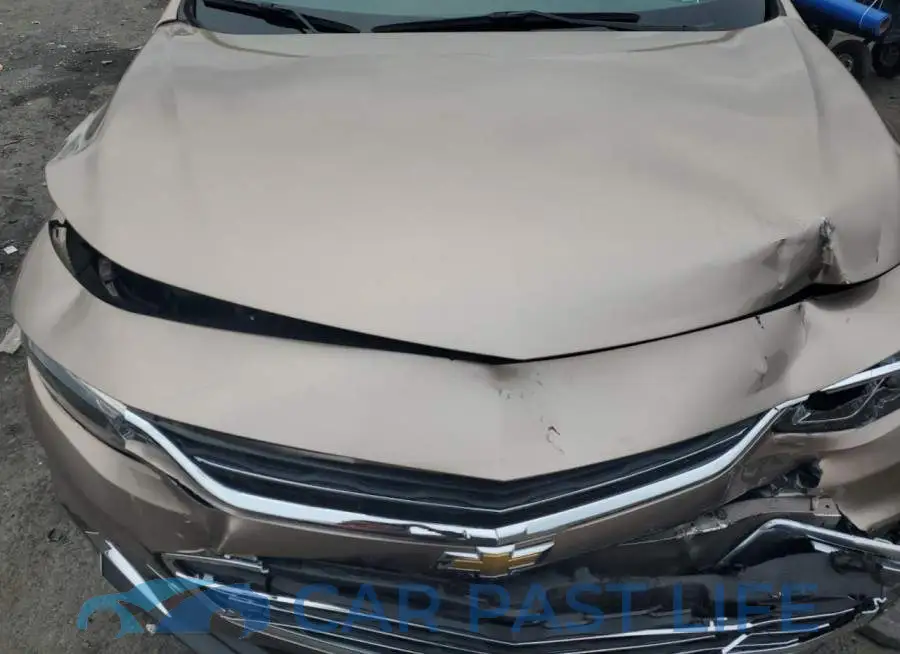1G1ZD5ST1JF163165# 11