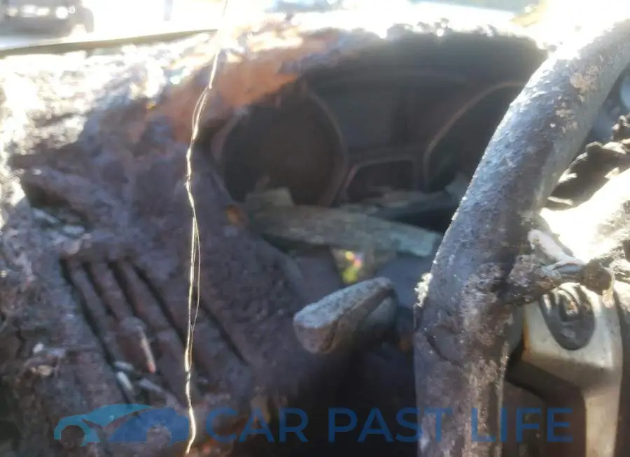 1FADP3F28EL206900# 9