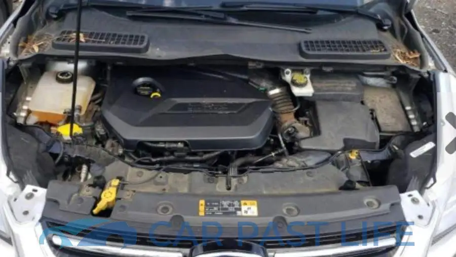 1FMCU9J95EUD26505# 7
