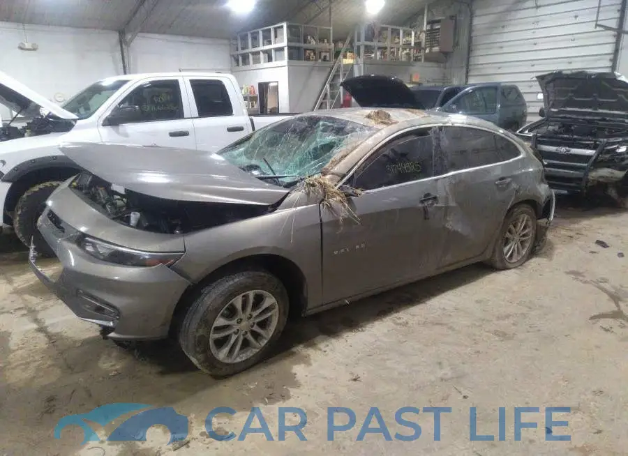 1G1ZD5ST5JF106435# 2