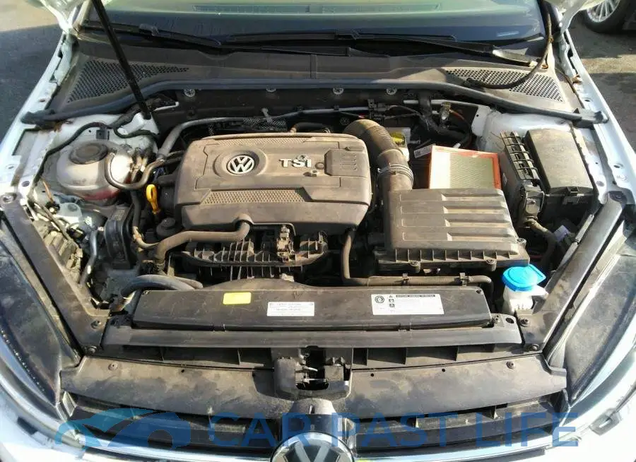 3VWG17AUXJM264084# 10