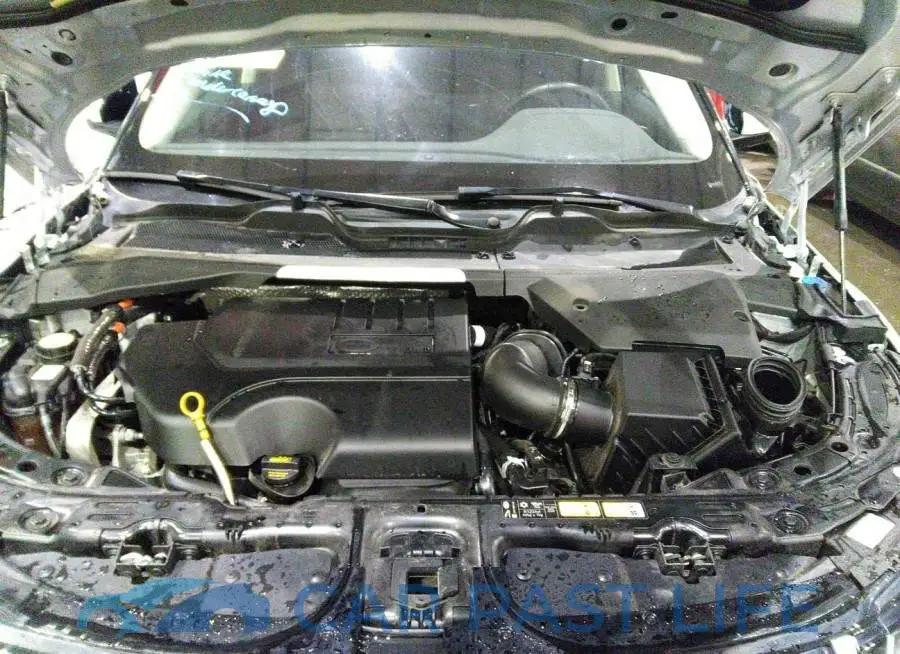 00LZP2FX7LH081175# 10