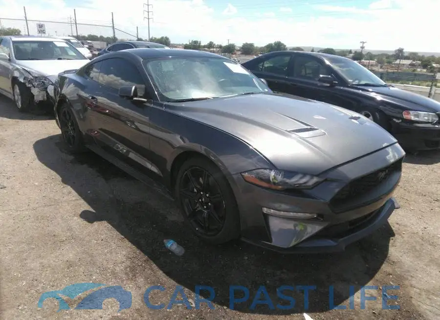 1FA6P8TH9L5146528# 1