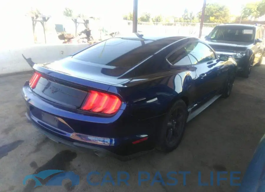 1FA6P8TH8K5135597# 4