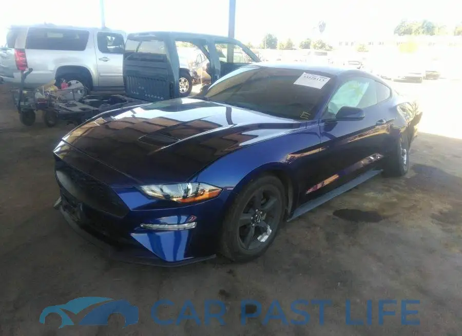 1FA6P8TH8K5135597# 2