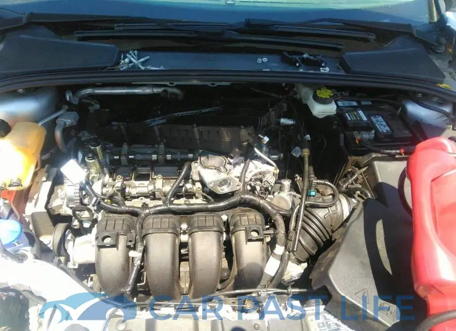 1FADP3F21HL309483# 6