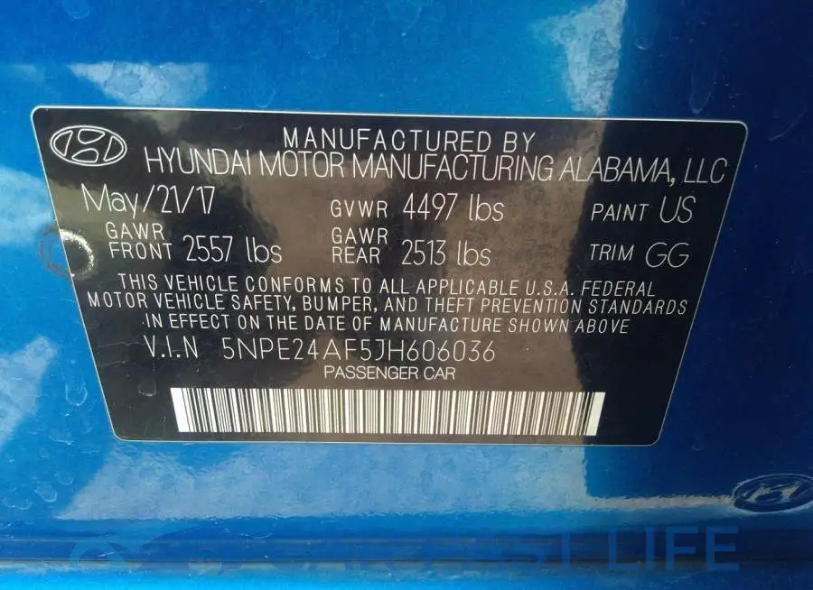 5NPE24AF5JH606036# 9