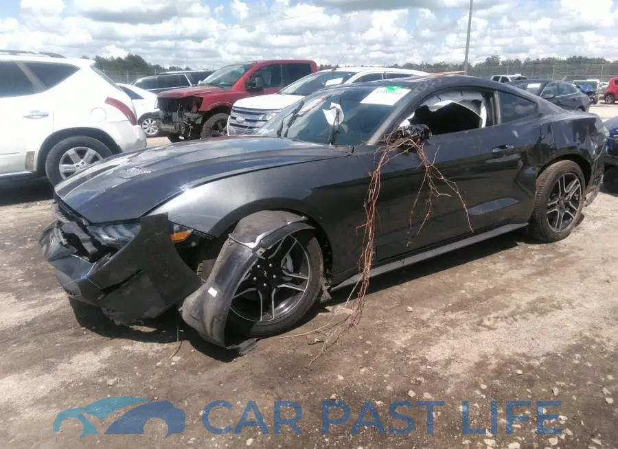 1FA6P8TH4L5185589# 2