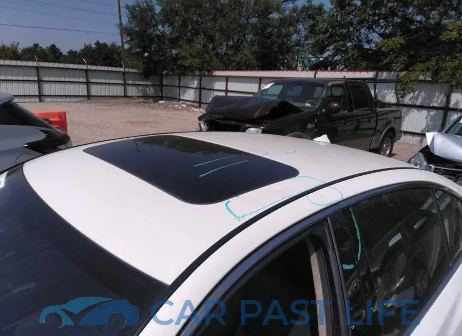 JN1EV7AP9LM207062# 6